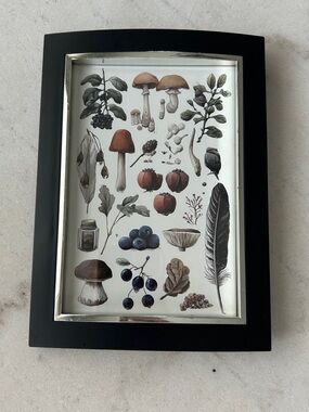 Botanical Mushroom & Berry Art Print in Black Frame